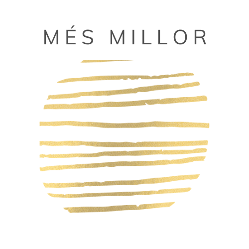 Logo Mes Millor